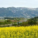 菜の花公園で春を満喫
